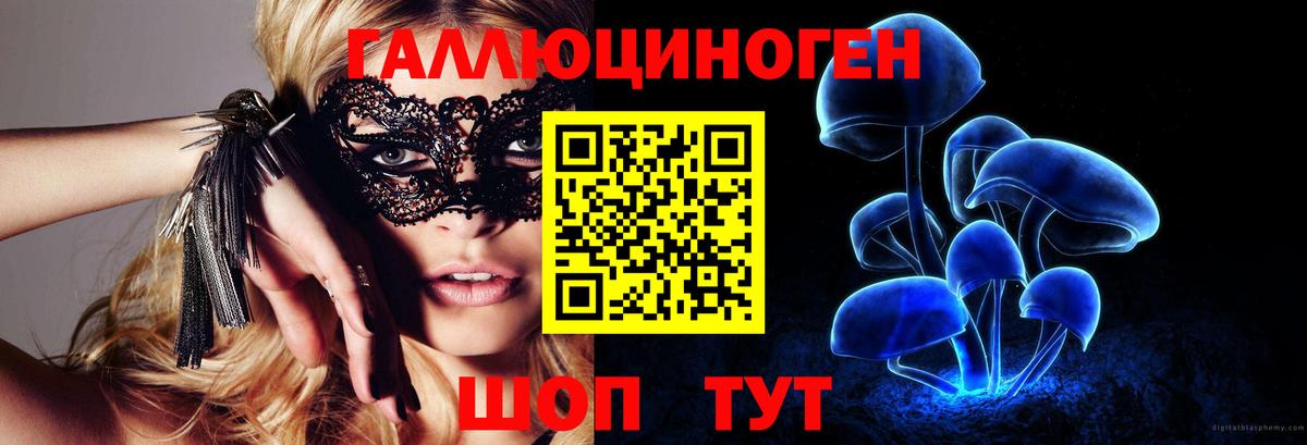 где продают   Псилоцибиновые грибы мухоморы  Вход с VPN  Знаменск  Псилоцибиновые грибы Magic Shrooms 