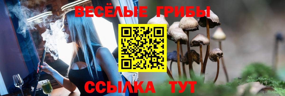 Галлюциногенные грибы мицелий Знаменск